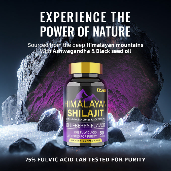 BSYS SHILAJIT GUMMIES 60'S